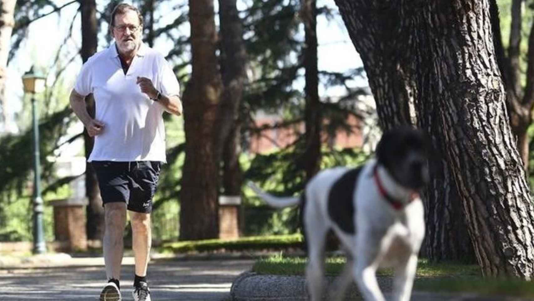 Rajoy hace ejercicio con su perro Rico.