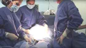 Imagen de la operación cedida por el hospital burgalés.