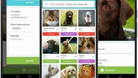 Adoptar un perro desde tu móvil ya es posible con esta aplicación