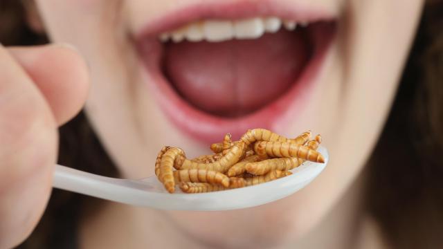 Una mujer comiendo gusanos.