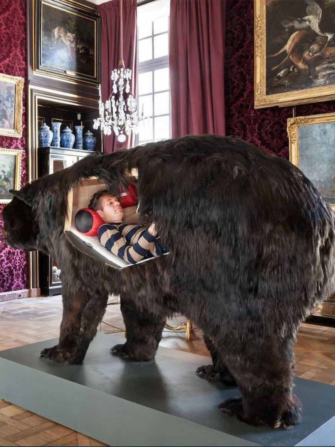 El artista en el oso.