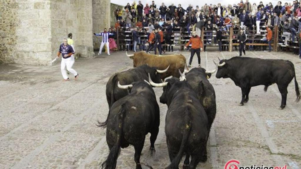 encierro lunes carnaval toro (4)