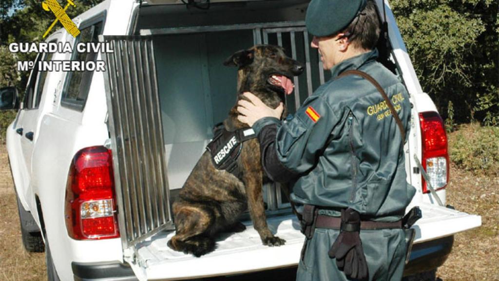 zamora guardia civil perros