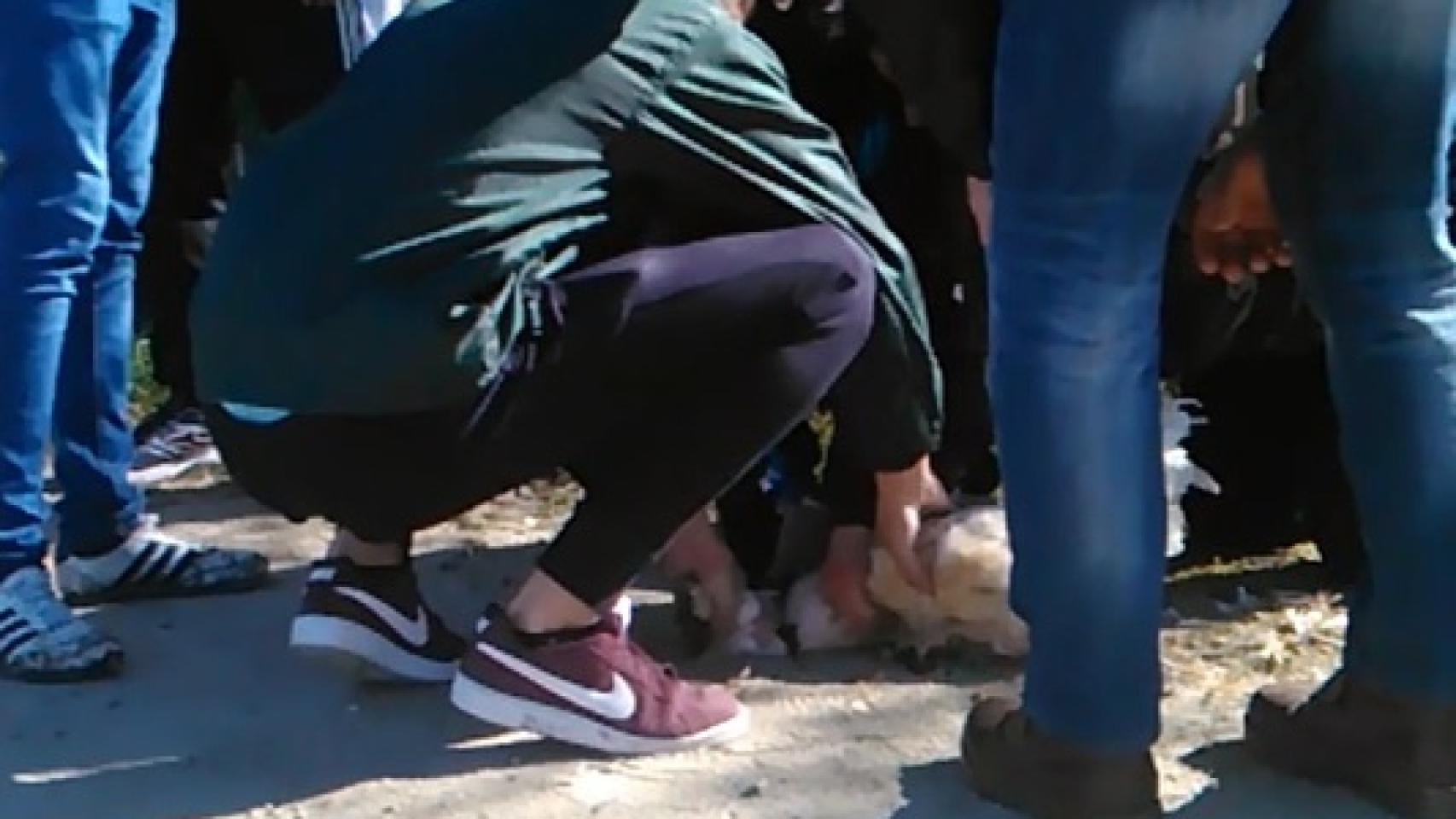 Los jóvenes cortan la cabeza de uno de los gallos