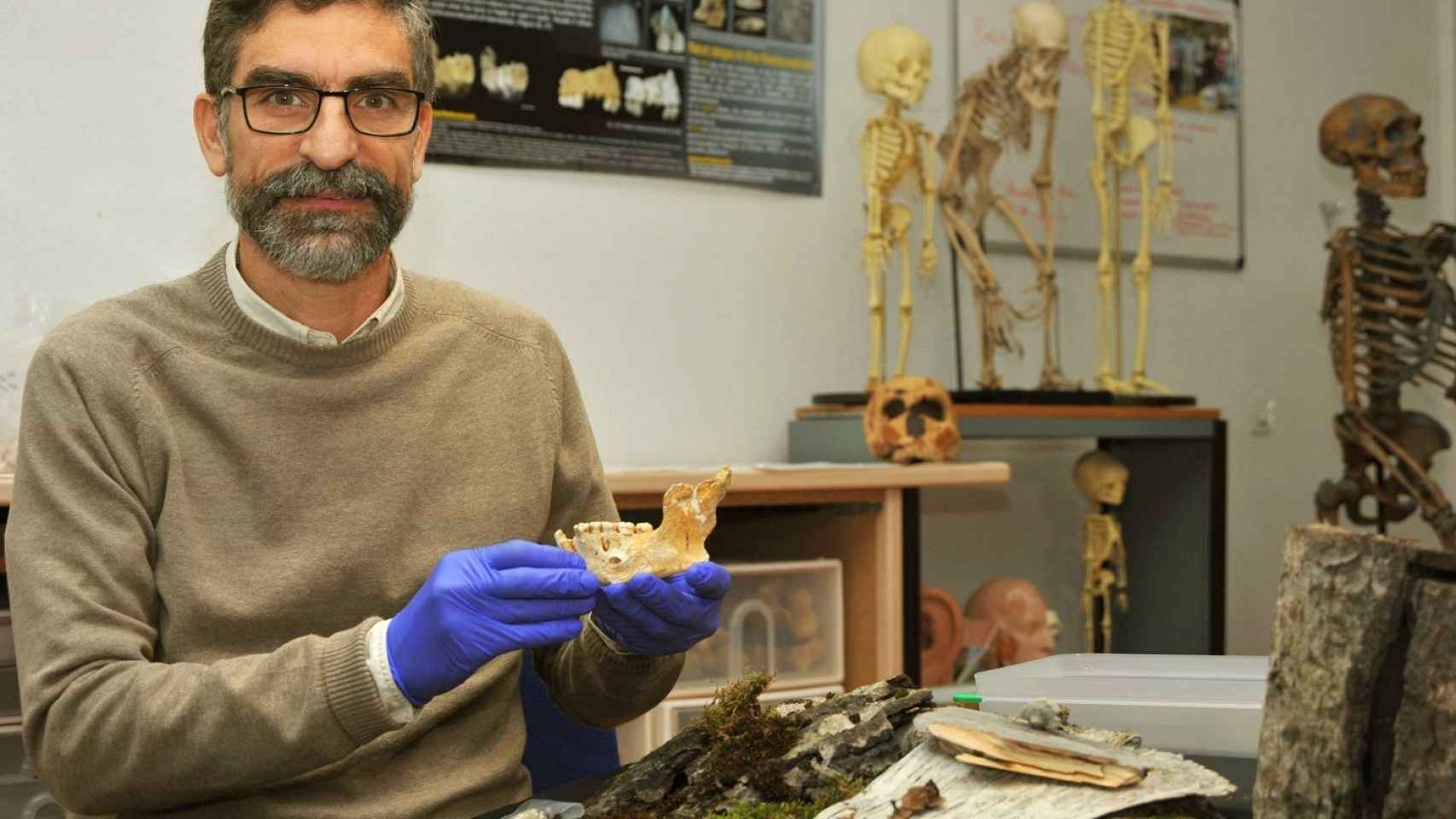 El investigador del CSIC Antonio Rosas con la mandíbula neandertal
