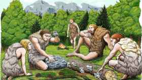 Cinco neandertales de El Sidrón degustan setas, piñones y musgo