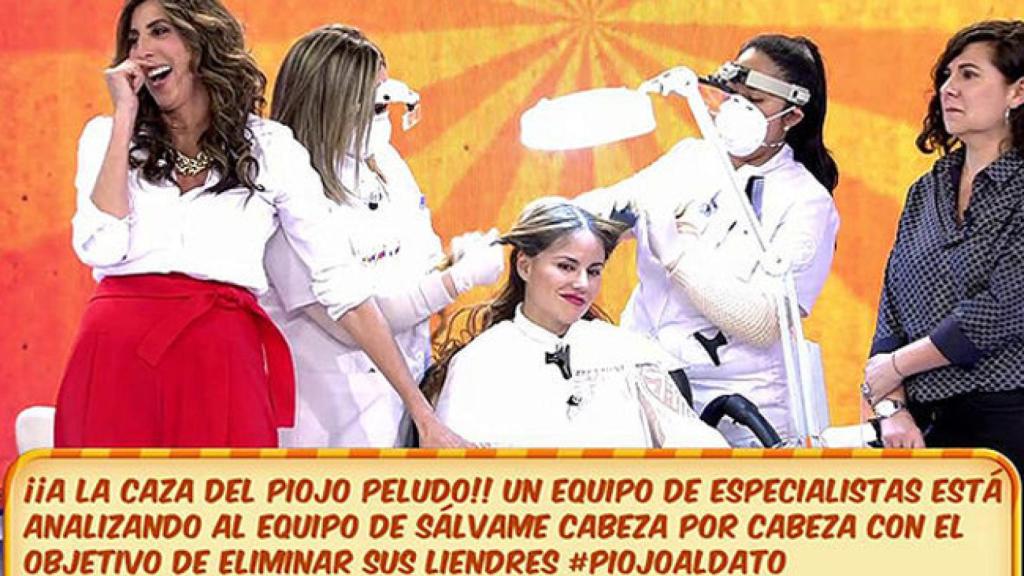 A la caza del colaborador con piojos: la última excentricidad de 'Sálvame'