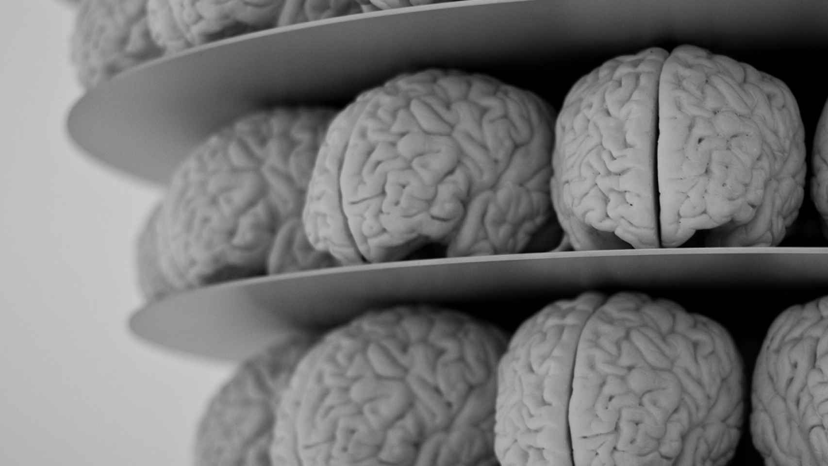 Los investigadores estudiaban la posible existencia de actividad cerebral post-mortem.