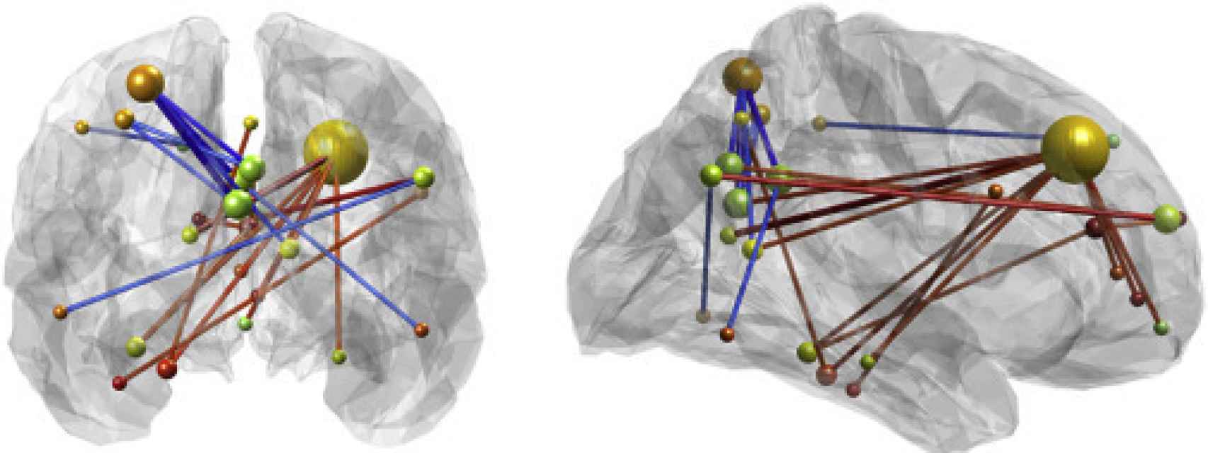 Conexiones entre áreas del cerebro de los supermemoriosos.