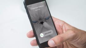La aplicación de mensajería ultrasegura se actualiza con llamadas y videollamadas