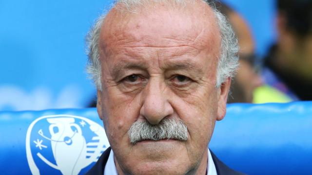 Vicente del Bosque, durante la última Eurocopa.