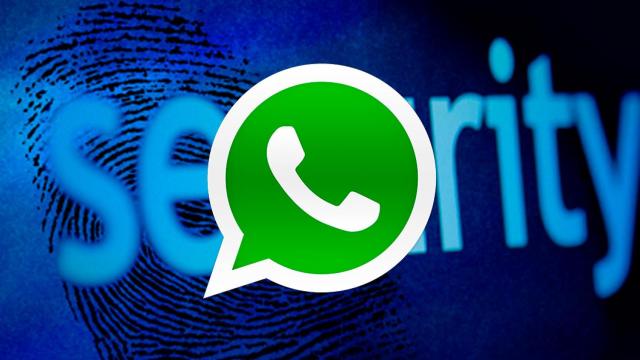 seguridad-whatsapp