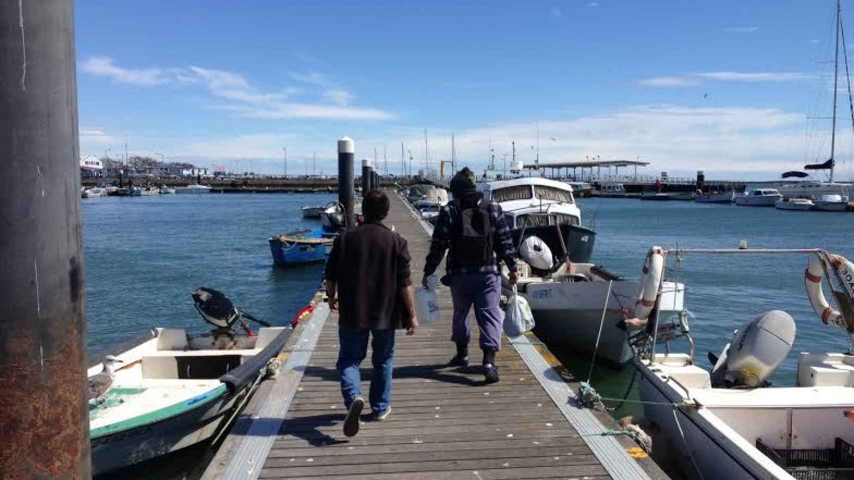 Pescadores de Olhao (Portugal) venden a los traficantes los hipocampos que antes devolvían al mar.