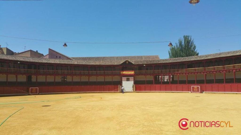 zamora toro plaza de toros