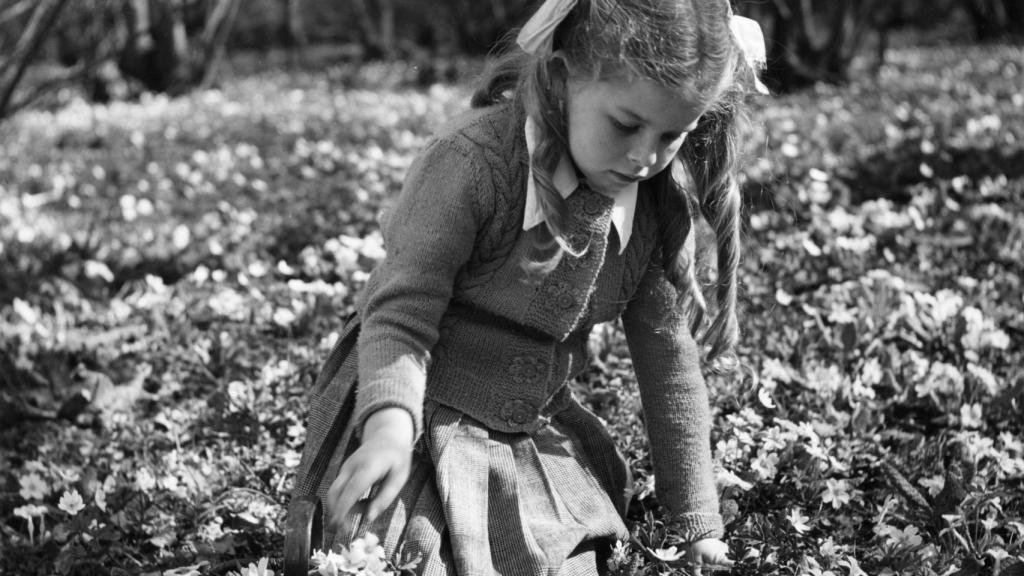 La primavera entristece, a veces