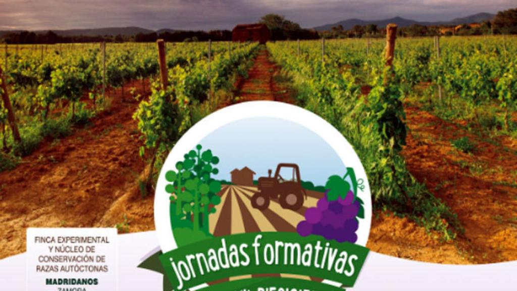 zamora diputacion jornadas ecologicas madridanos