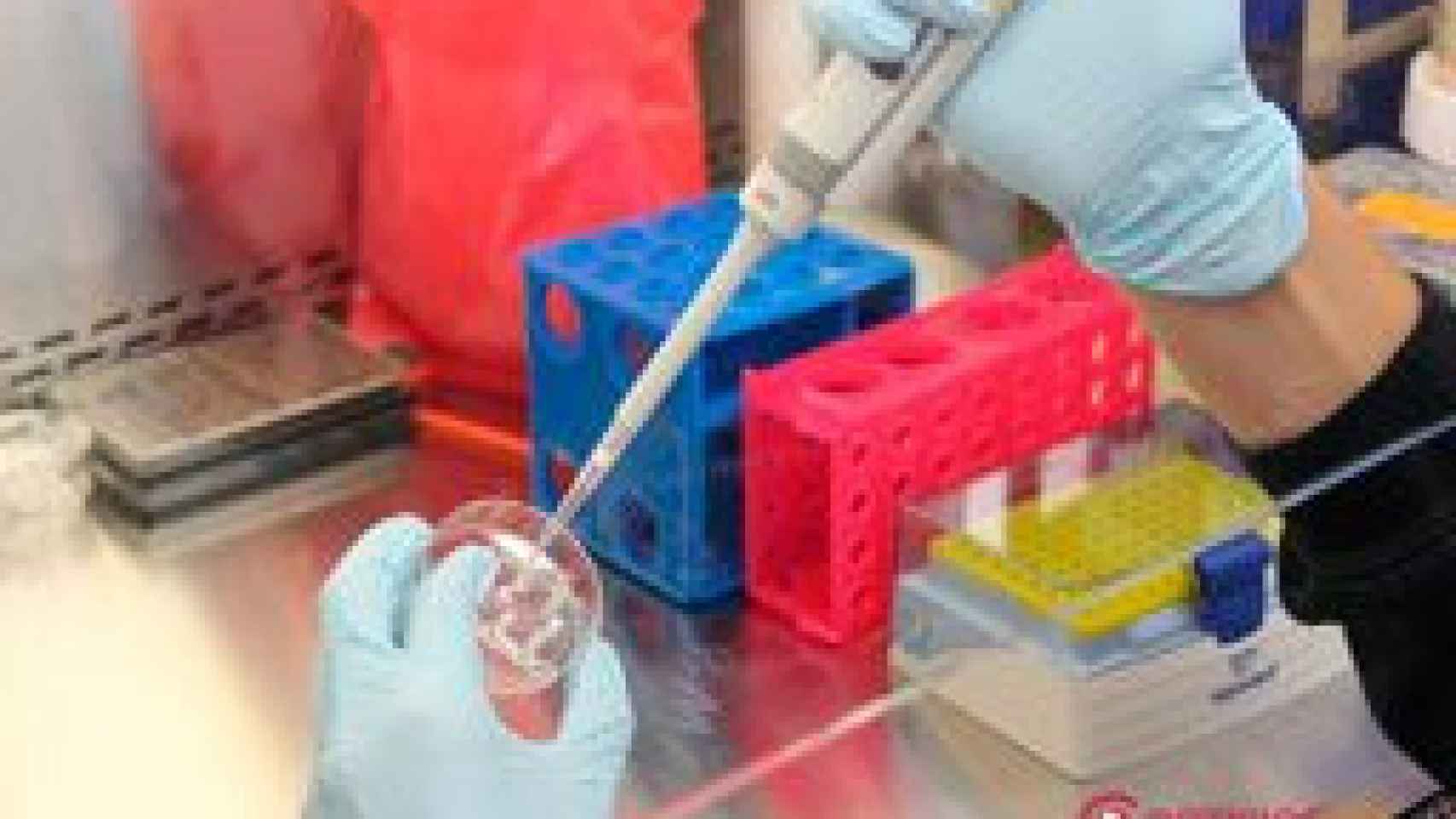 laboratorio-usal-cancer