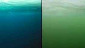 De estas dos tonalidades puede ser el agua del Ártico.