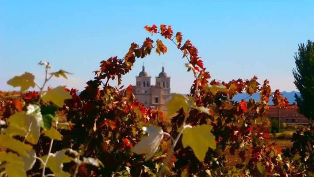 Iglesia Parroquial de Santiago Apóstol en Cigales (Valladolid), conocida como la Catedral del Vino.