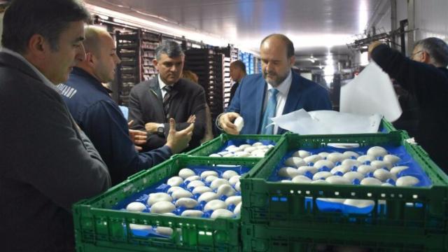 José Luis Martínez Guijarro, durante su visita a las instalaciones de Cultichamp