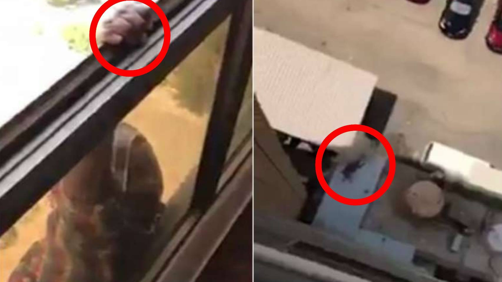 La escalofriante caída de la asistenta, grabada por su empleadora.