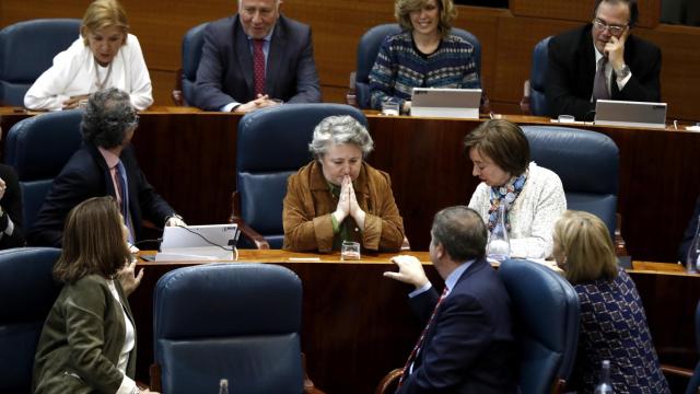 Isabel Redondo, este jueves en la Asamblea de Madrid.