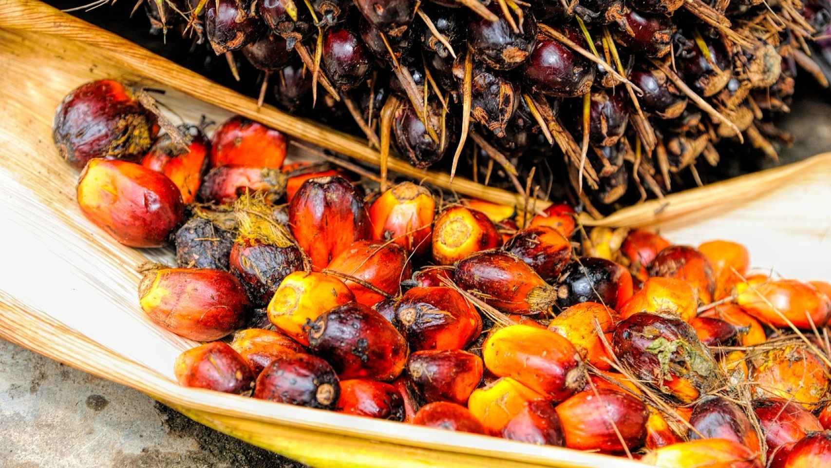 Son muchos los que han eliminado el aceite de palma de su dieta.