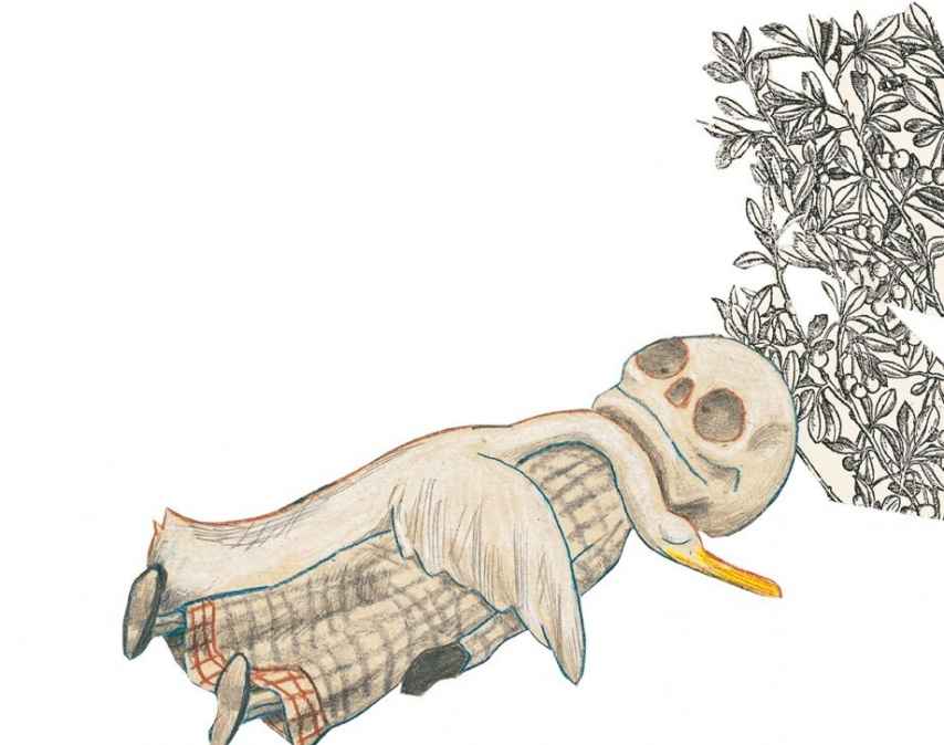 Una de las ilustraciones de El pato y la muerte, editado por Barbara Fiore.
