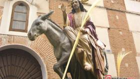 Valladolid Semana Santa Medina del Campo borriquilla