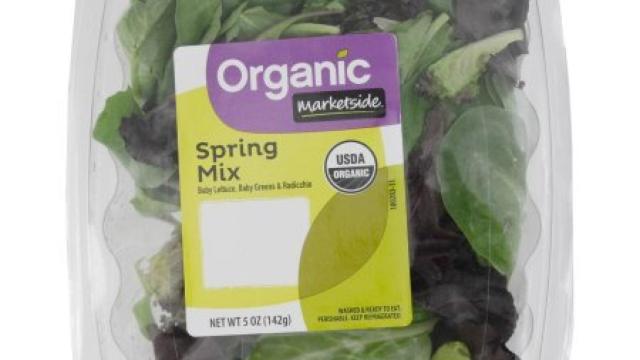 Así era la ensalada contaminada con restos de animal muerto.