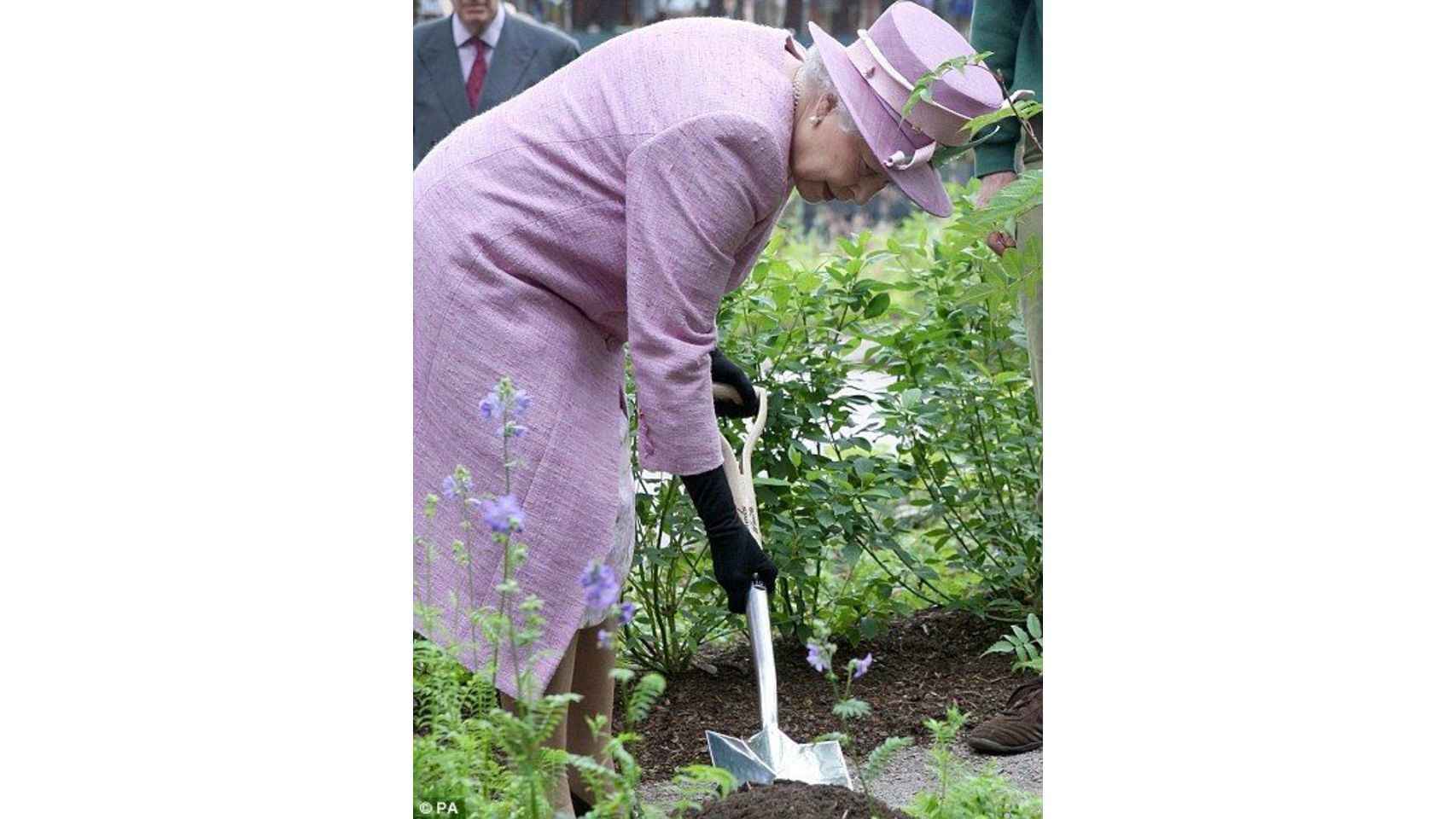 La reina Isabell trabajando la tierra del jardín.