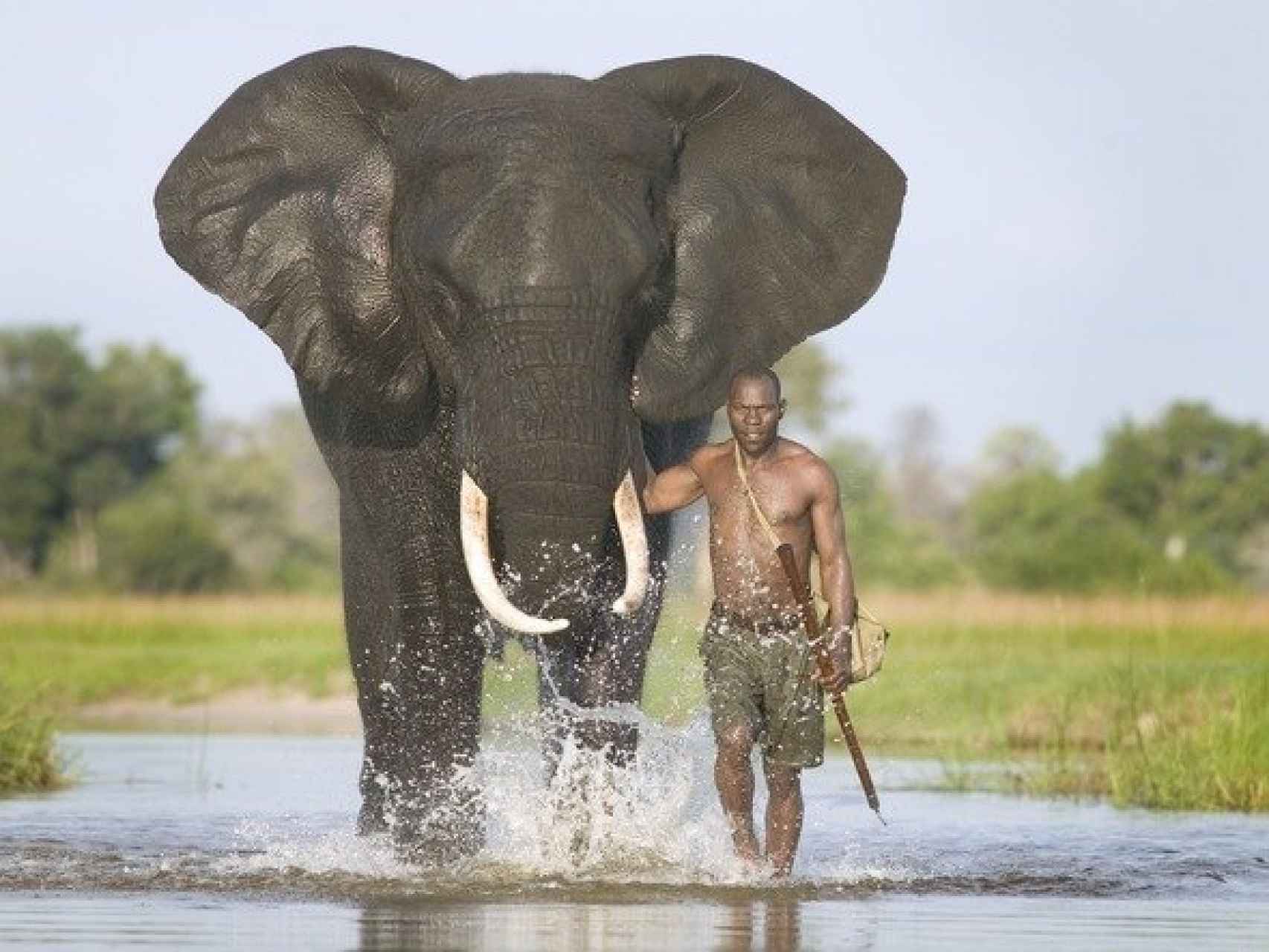 El elefante es uno de los símbolos de Botsuana y una atracción para los turistas.