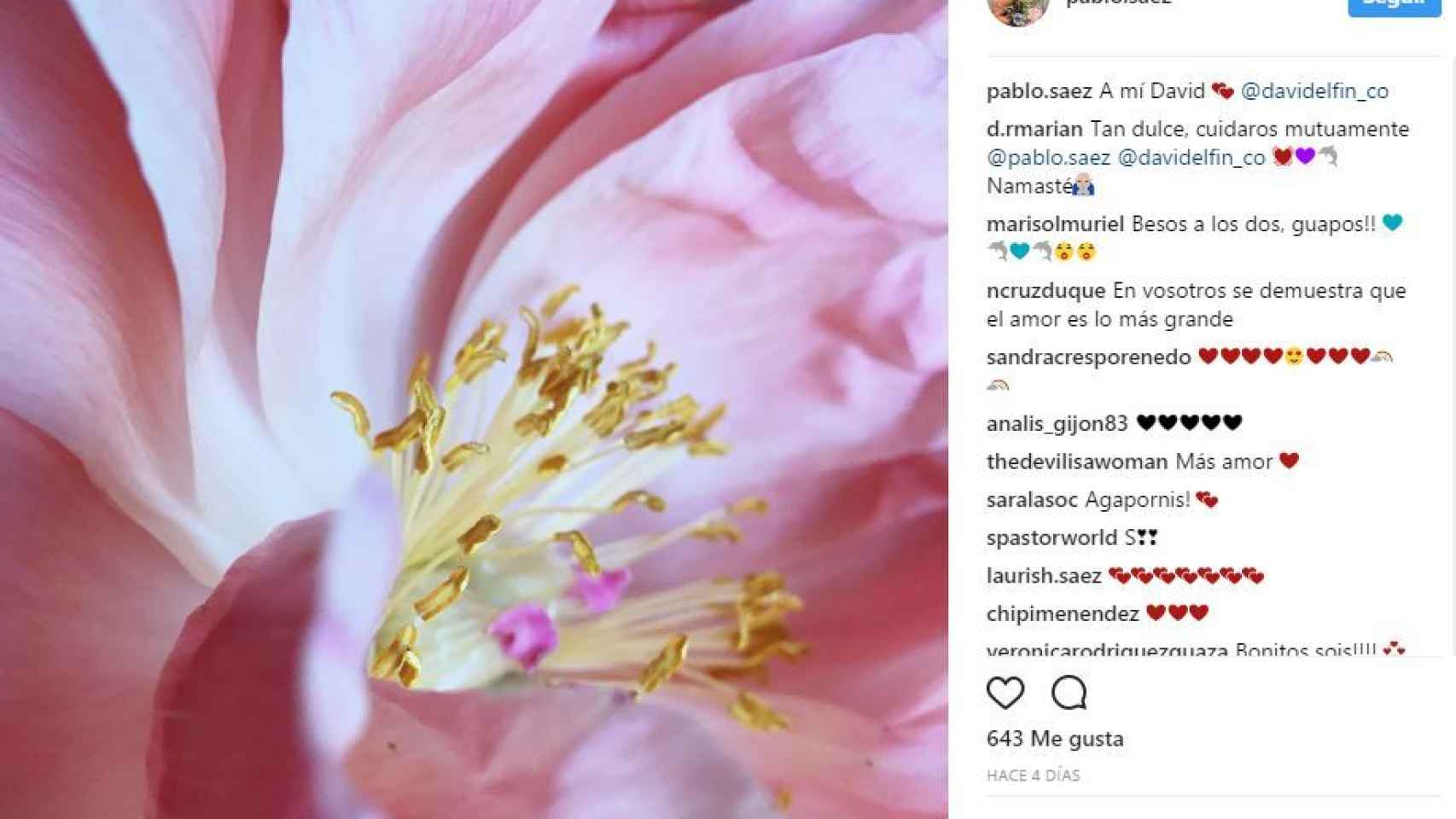 Captura Instagram Pablo Sáez.