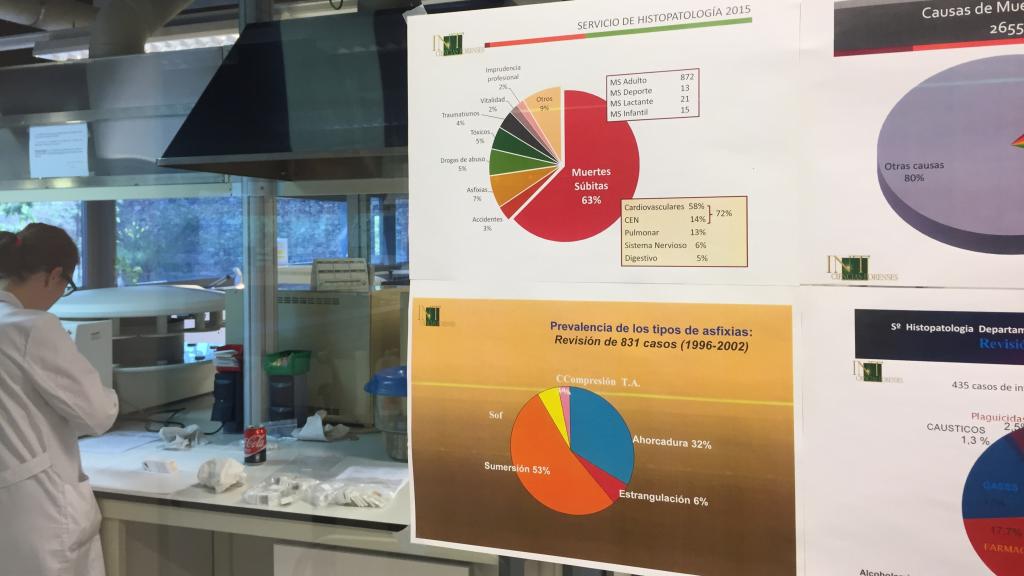 Una de las investigadoras del centro, en pleno trabajo.