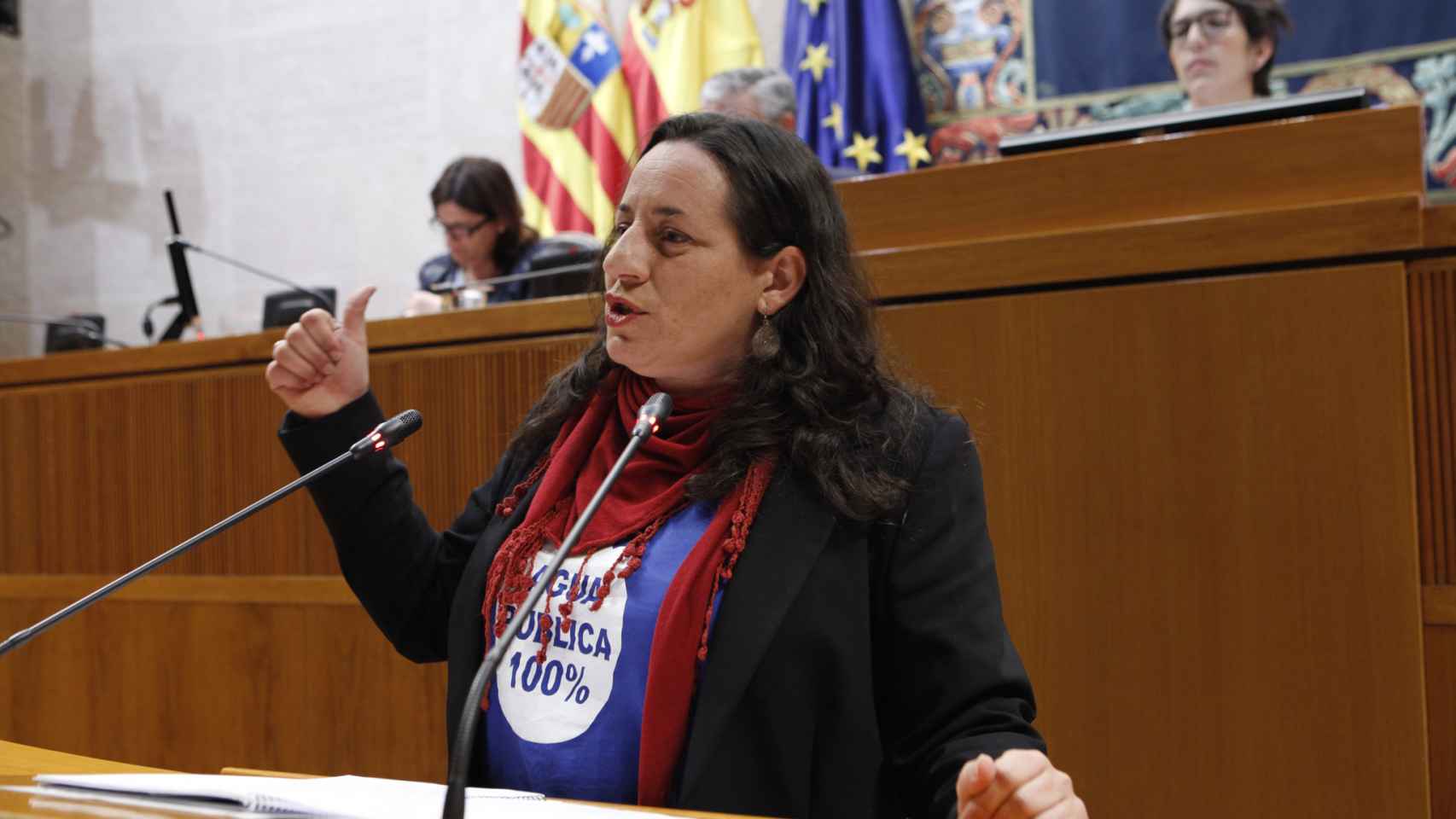 Marta de Santos, diputada de Podemos en las Cortes de Aragón.