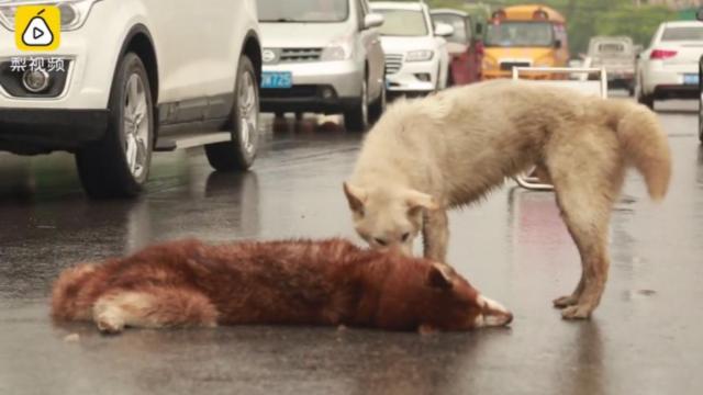 Una captura del vídeo grabado en China