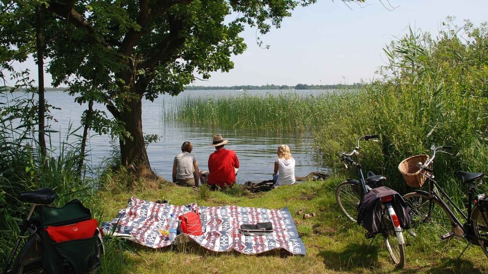 Las vajillas de camping y picnic más completas y resistentes