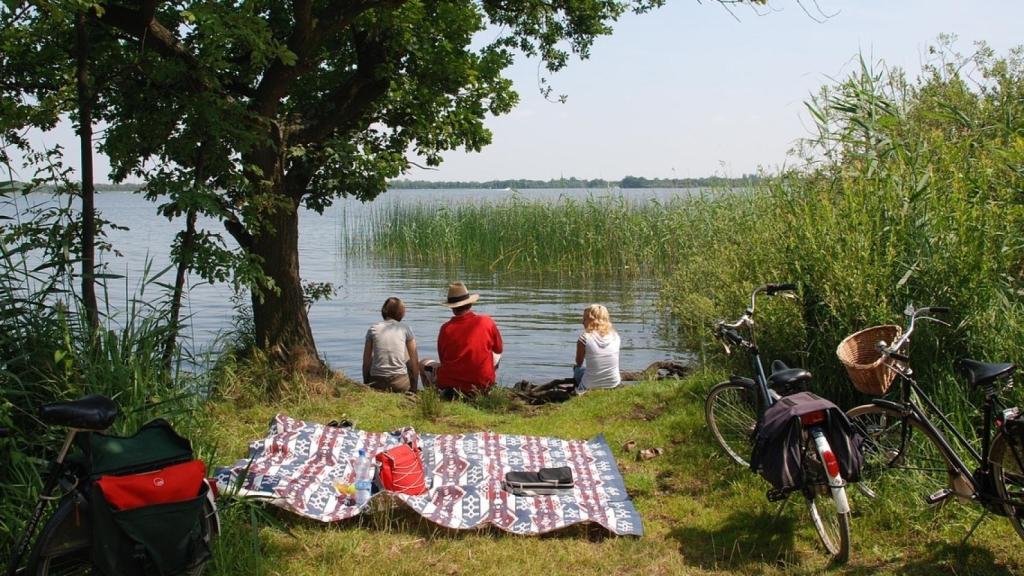 organizar un picnic 7