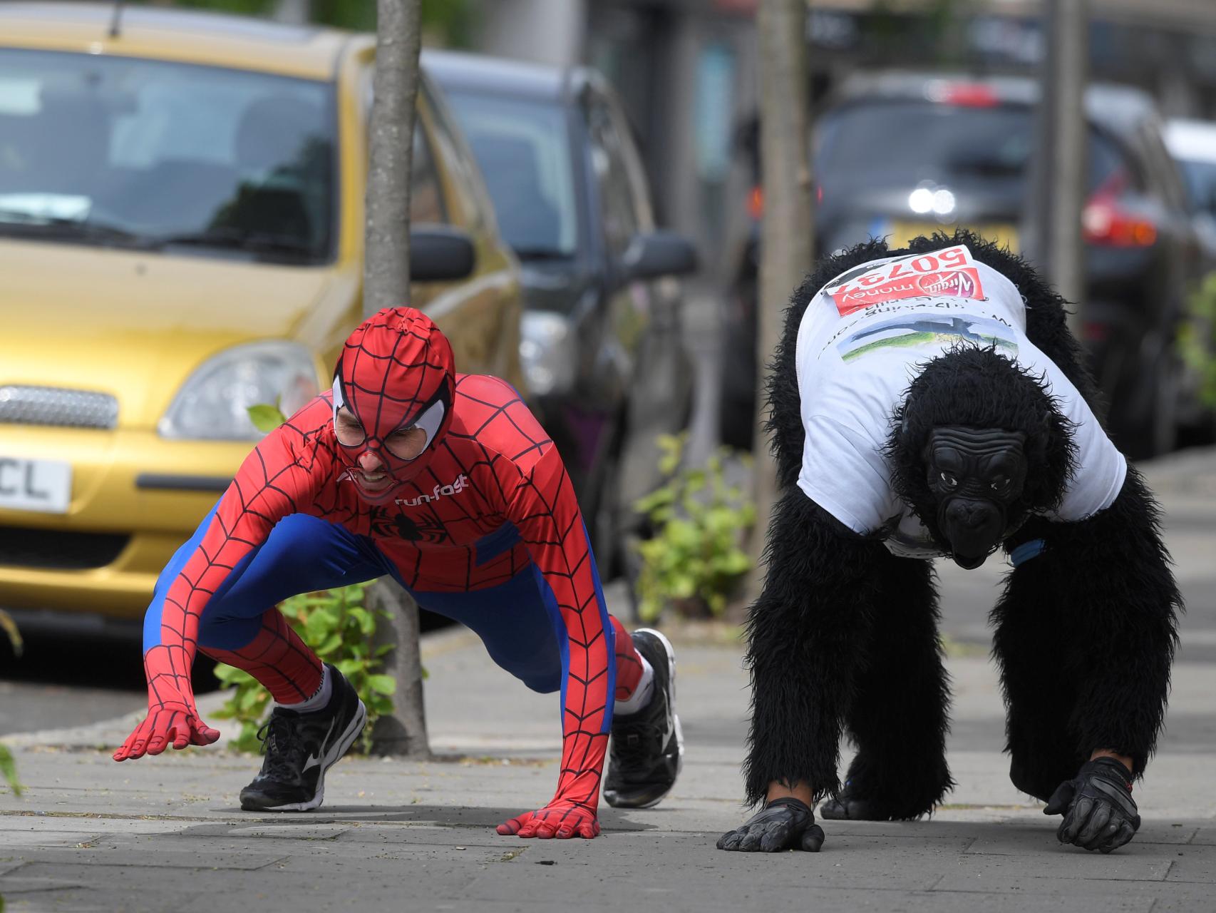 Spiderman y Mister Gorila unidos por una buena causa.
