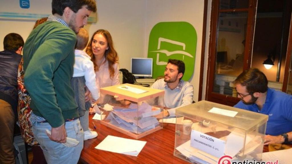 elecicones pp valladolid primarias silvan manueco 15