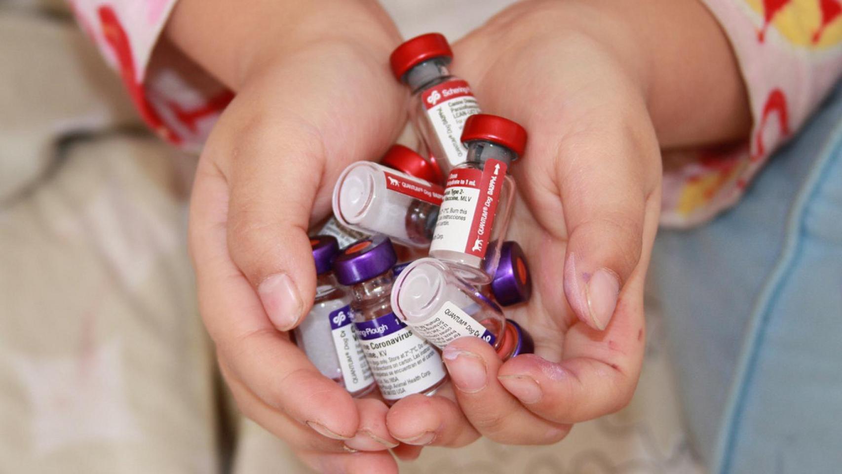 Cada uno de estos viales ha salvado potencialmente la vida de una persona.