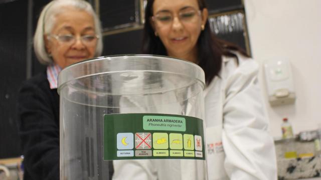 Las investigadoras con la araña.