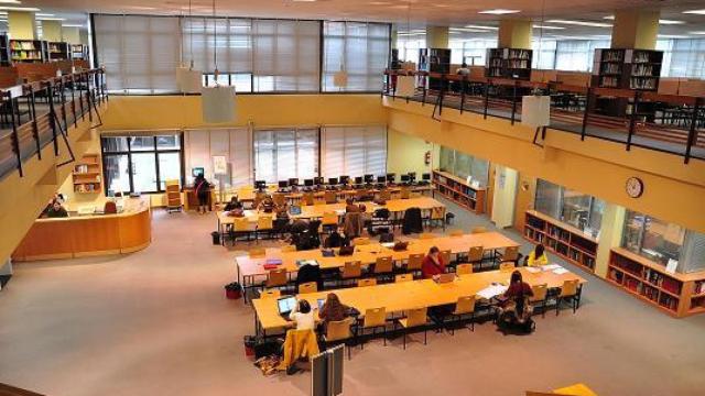 Grado en Psicología en la Universidad Complutense de Madrid