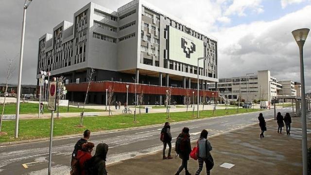 Grado en Marketing en la Universidad del País Vasco.