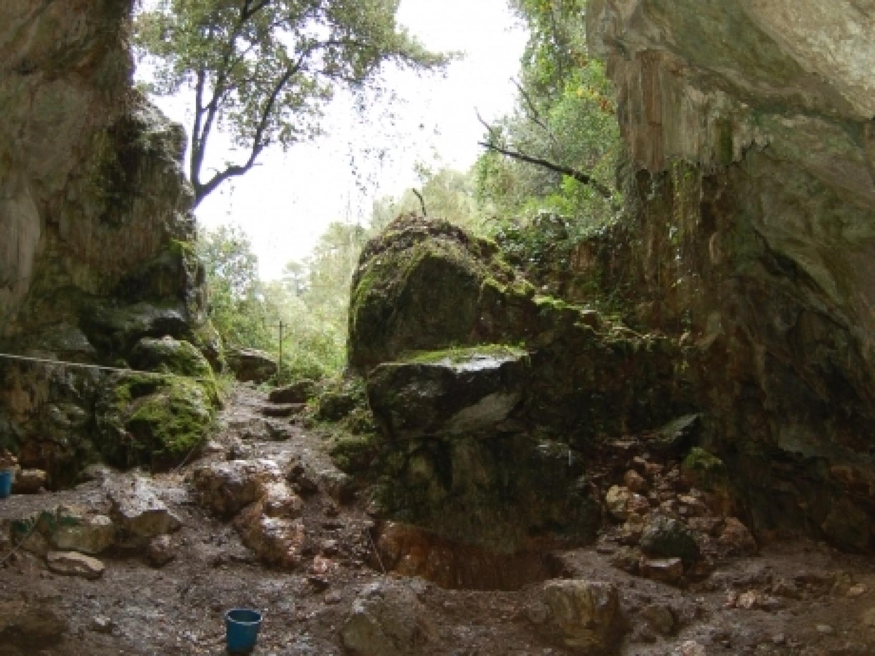 Excavaciones en Cova Bonica, Barcelona.