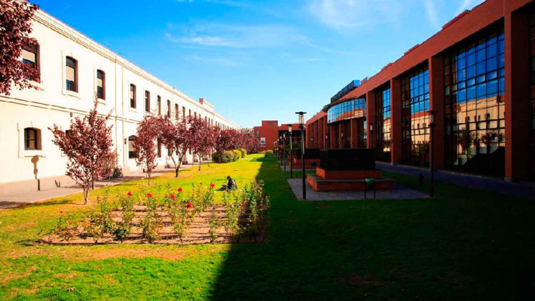 Universidad Carlos III de Madrid.