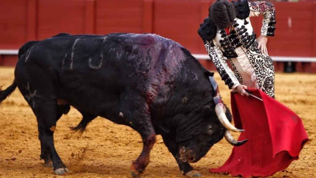 Trincherazo de Garrido al buen toro de Torrestrella lidiado en Sevilla