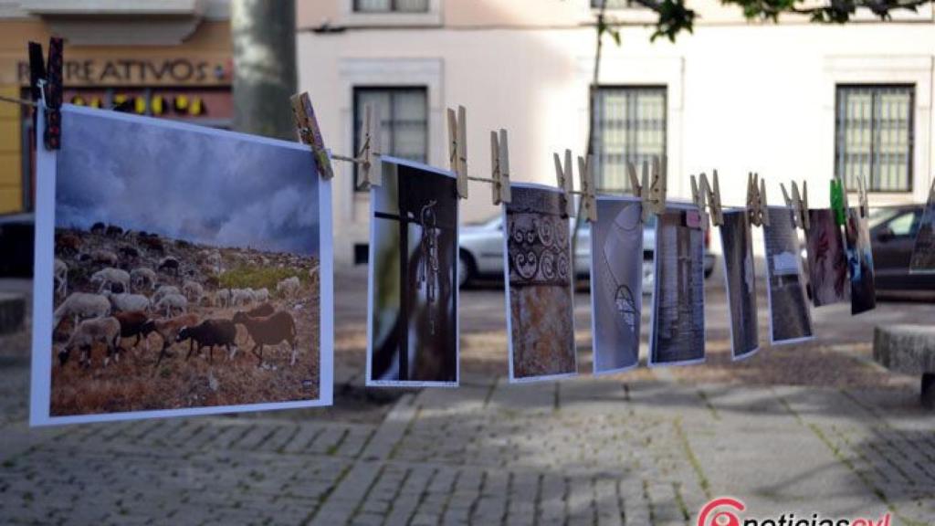 zamora secado fotografias (6)