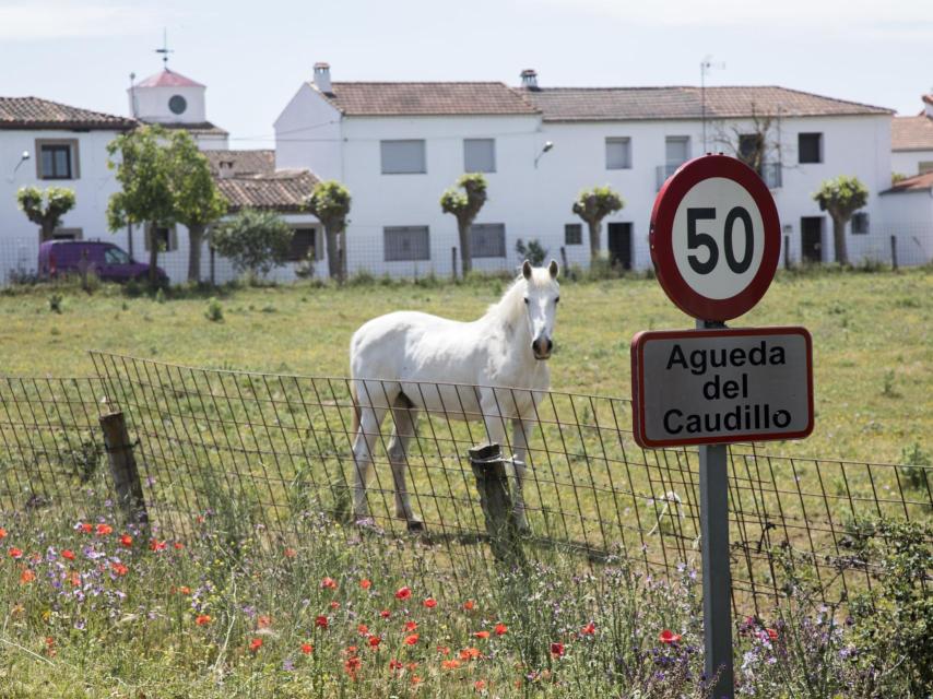 Águeda del Caudillo era, hasta hace un mes, uno de los ocho pueblos que hacían referencia al dictador en su nombre. Ahora solo se llama Águeda.