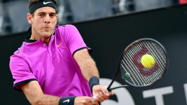 Del Potro, en su partido ante Dimitrov.